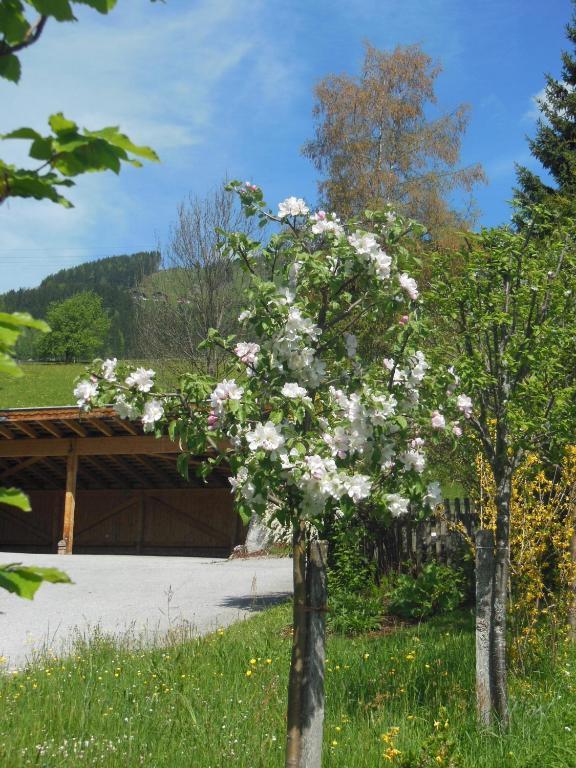 Haus Schoenleiten Wagrain Ngoại thất bức ảnh